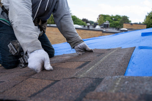Residential Roof Replacement in Wenona, IL