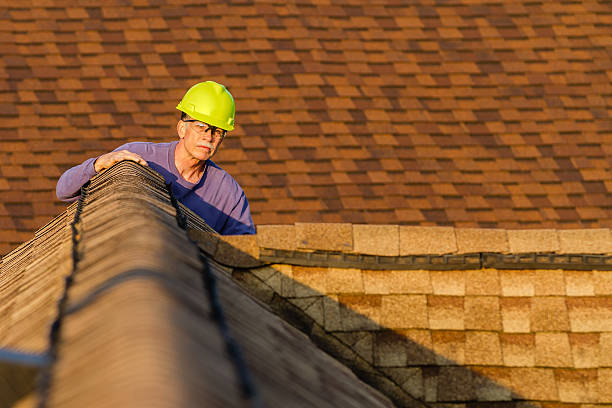 Best Metal Roofing Contractor  in Wenona, IL