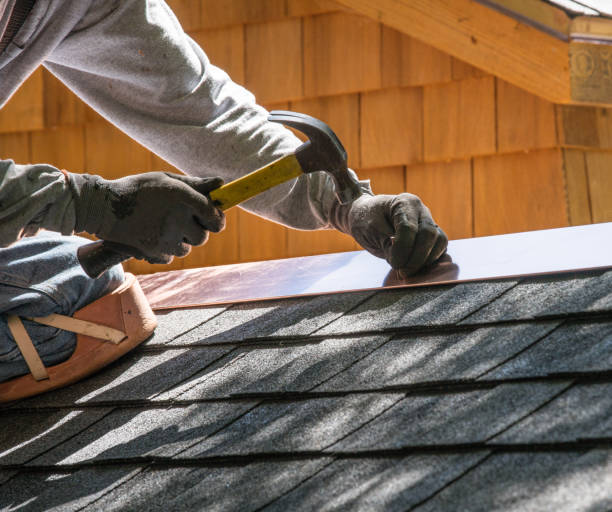 Best Gutter Installation and Roofing  in Wenona, IL